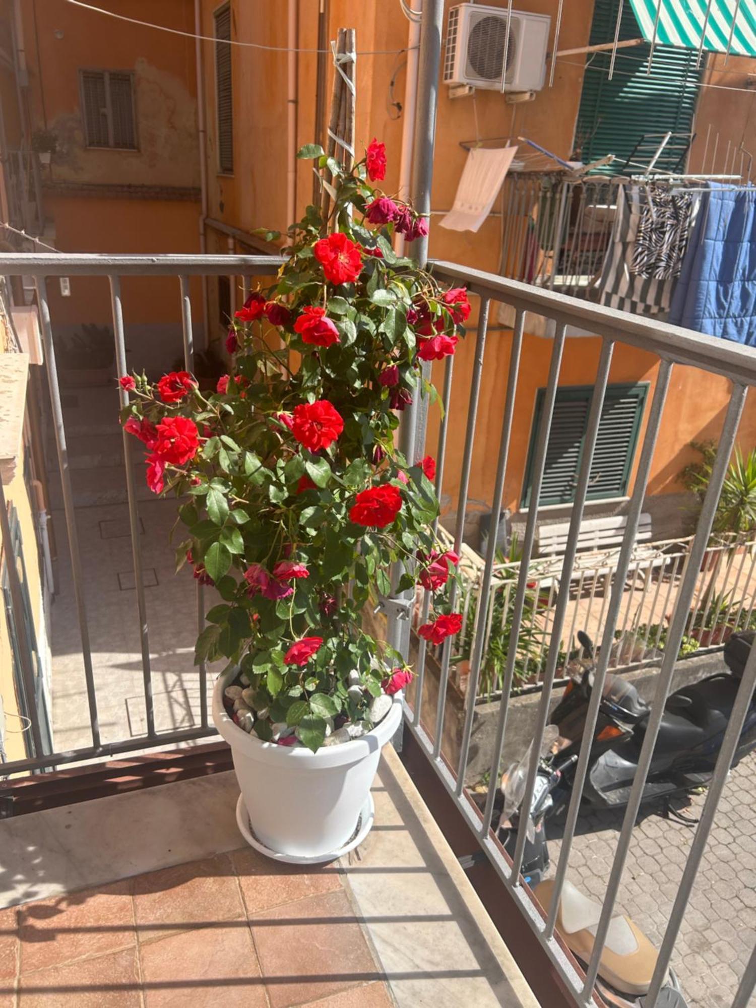 Sissi House Salerno Apartment Exterior foto