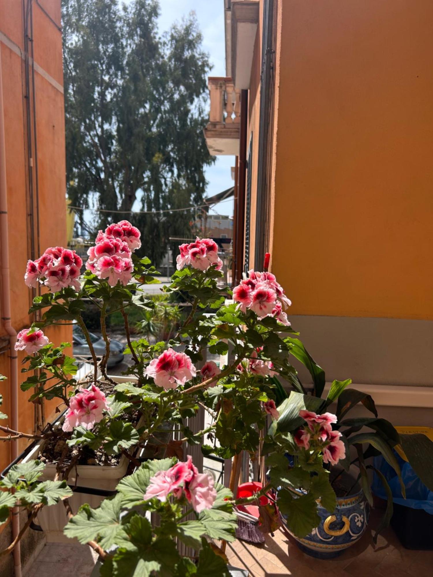 Sissi House Salerno Apartment Exterior foto